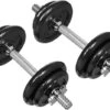 Amazon Basics Adjustable Dumbbell Weight Set