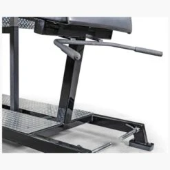 EliteFTS Pro Glute Ham Raise -Optimal Fitness Equipment c2ba1bc54b239208cb37b901c0d3b363 5d0a757667cee 600x600 1